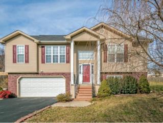 195 Royal Oaks Dr. , Jonesborough, TN 37659 (MLS #357854) :: Jim Griffin Team 195 Royal Oaks Dr. , Jonesborough, TN 37659 (MLS #357854) :: Jim Griffin Team
