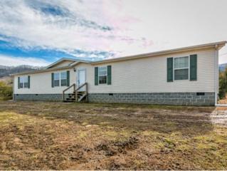 837 Butcher Valley Rd. , Rogersville, TN 37857 (MLS #357954) :: Jim Griffin Team 837 Butcher Valley Rd. , Rogersville, TN 37857 (MLS #357954) :: Jim Griffin Team