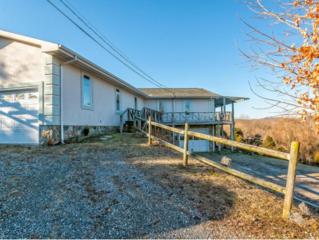 116 J Walking Way , Johnson City, TN 37615 (MLS #358141) :: Jim Griffin Team 116 J Walking Way , Johnson City, TN 37615 (MLS #358141) :: Jim Griffin Team
