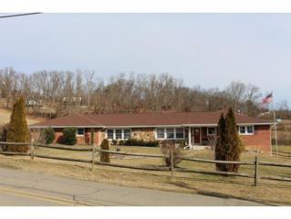 442 Independence Drive , Kingsport, TN 37660 (MLS #358154) :: Jim Griffin Team 442 Independence Drive , Kingsport, TN 37660 (MLS #358154) :: Jim Griffin Team