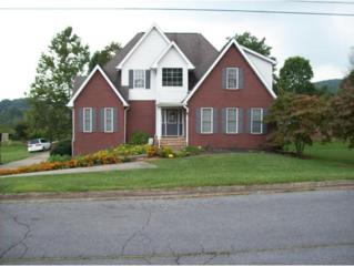 4001 Grey Fox Dr. , Kingsport, TN 37664 (MLS #358328) :: Jim Griffin Team 4001 Grey Fox Dr. , Kingsport, TN 37664 (MLS #358328) :: Jim Griffin Team