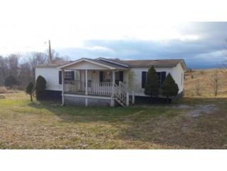 9280 Old Stage Rd. , Limestone, TN 37681 (MLS #358688) :: Jim Griffin Team 9280 Old Stage Rd. , Limestone, TN 37681 (MLS #358688) :: Jim Griffin Team