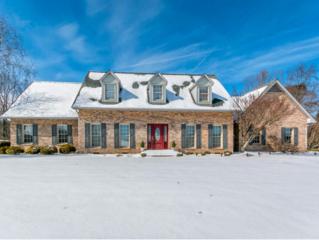 222 Saddle Ridge Dr. , Kingsport, TN 37664 (MLS #358877) :: Jim Griffin Team 222 Saddle Ridge Dr. , Kingsport, TN 37664 (MLS #358877) :: Jim Griffin Team