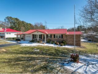 141 Archdale Dr. , Kingsport, TN 37663 (MLS #358918) :: Jim Griffin Team 141 Archdale Dr. , Kingsport, TN 37663 (MLS #358918) :: Jim Griffin Team