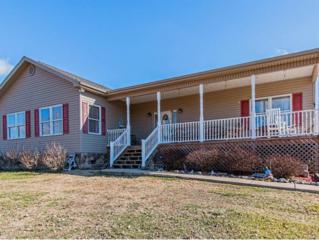 445 Stewart Road , Chuckey, TN 37641 (MLS #338951) :: Jim Griffin Team 445 Stewart Road , Chuckey, TN 37641 (MLS #338951) :: Jim Griffin Team