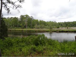 213 Farina Dr 77, Havelock, NC 28532 (MLS #94951) :: First Carolina, REALTORS® 213 Farina Dr 77, Havelock, NC 28532 (MLS #94951) :: First Carolina, REALTORS®