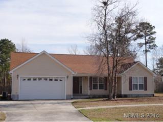 110 Farina Drive , Havelock, NC 28532 (MLS #96675) :: First Carolina, REALTORS® 110 Farina Drive , Havelock, NC 28532 (MLS #96675) :: First Carolina, REALTORS®