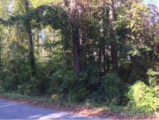 210 West Palmer Drive N/A, New Bern, NC 28560 (MLS #96720) :: First Carolina, REALTORS® 210 West Palmer Drive N/A, New Bern, NC 28560 (MLS #96720) :: First Carolina, REALTORS®