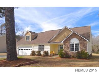 382 Carolina Pines Blvd , New Bern, NC 28560 (MLS #98116) :: First Carolina, REALTORS® 382 Carolina Pines Blvd , New Bern, NC 28560 (MLS #98116) :: First Carolina, REALTORS®