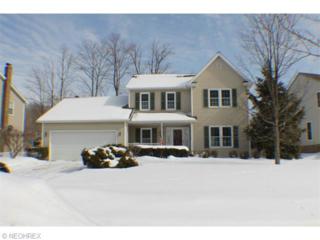 2160 Meadowood Blvd , Twinsburg, OH 44087 (MLS #3686865) :: Platinum Real Estate 2160 Meadowood Blvd , Twinsburg, OH 44087 (MLS #3686865) :: Platinum Real Estate