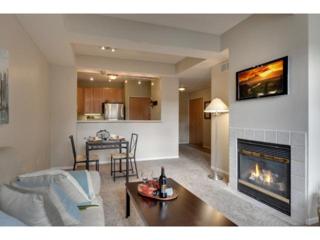 645 N 1st Street 305, Minneapolis, MN 55401 (#4558098) :: iMetro Property 645 N 1st Street 305, Minneapolis, MN 55401 (#4558098) :: iMetro Property