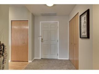 645 N 1st Street 305, Minneapolis, MN 55401 (#4566698) :: iMetro Property 645 N 1st Street 305, Minneapolis, MN 55401 (#4566698) :: iMetro Property