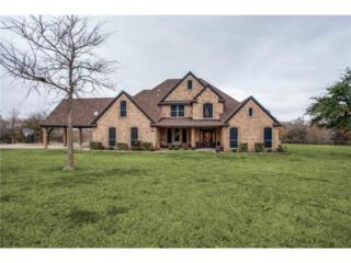 1651 Easy Street , Seagoville, TX 75159 (MLS #13062303) :: Robbins Real Estate 1651 Easy Street , Seagoville, TX 75159 (MLS #13062303) :: Robbins Real Estate