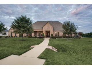 2881 Silverglade Court , Prosper, TX 75078 (MLS #13082026) :: Lisa Birdsong Realty Group 2881 Silverglade Court , Prosper, TX 75078 (MLS #13082026) :: Lisa Birdsong Realty Group