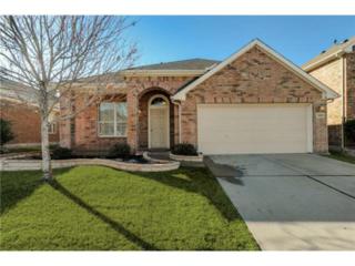 1608 Nighthawk Drive , Little Elm, TX 75068 (MLS #13085675) :: Robbins Real Estate 1608 Nighthawk Drive , Little Elm, TX 75068 (MLS #13085675) :: Robbins Real Estate