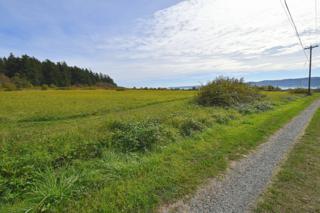 440 Barnum Rd , Camano Island, WA 98282 (#703776) :: Home4investment Real Estate Team 440 Barnum Rd , Camano Island, WA 98282 (#703776) :: Home4investment Real Estate Team