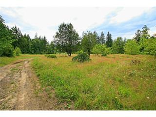 46455 Baker Loop Rd , Concrete, WA 98237 (#685149) :: Home4investment Real Estate Team 46455 Baker Loop Rd , Concrete, WA 98237 (#685149) :: Home4investment Real Estate Team