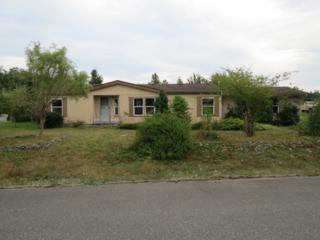 24106 Feather Lane , Sedro Woolley, WA 98284 (#686874) :: Home4investment Real Estate Team 24106 Feather Lane , Sedro Woolley, WA 98284 (#686874) :: Home4investment Real Estate Team