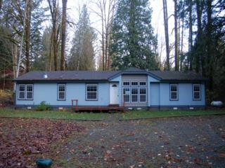 6113 Mt Baker Hwy , Deming, WA 98244 (#718049) :: Home4investment Real Estate Team 6113 Mt Baker Hwy , Deming, WA 98244 (#718049) :: Home4investment Real Estate Team