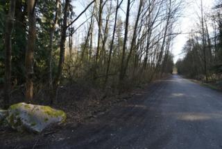 9760 W 31st Place , Blaine, WA 98230 (#744052) :: Home4investment Real Estate Team 9760 W 31st Place , Blaine, WA 98230 (#744052) :: Home4investment Real Estate Team