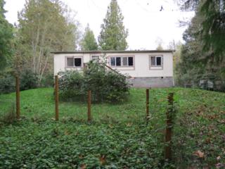 41528 Center St , Concrete, WA 98237 (#708151) :: Home4investment Real Estate Team 41528 Center St , Concrete, WA 98237 (#708151) :: Home4investment Real Estate Team