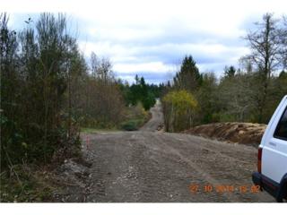 3438 137th Trail SW , Tenino, WA 98589 (#722316) :: Burger Professionals 3438 137th Trail SW , Tenino, WA 98589 (#722316) :: Burger Professionals