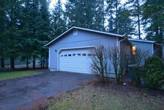 8631 Golden Valley Dr , Maple Falls, WA 98266 (#728431) :: Home4investment Real Estate Team 8631 Golden Valley Dr , Maple Falls, WA 98266 (#728431) :: Home4investment Real Estate Team