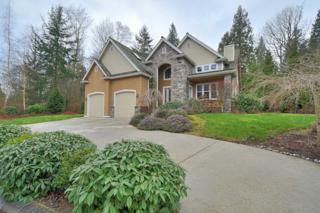 8779 Wood Duck Wy , Blaine, WA 98230 (#738667) :: Home4investment Real Estate Team 8779 Wood Duck Wy , Blaine, WA 98230 (#738667) :: Home4investment Real Estate Team