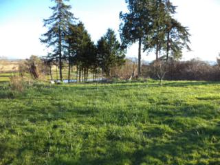 0-Lot 17 Shaw Ct , Ferndale, WA 98248 (#744647) :: Home4investment Real Estate Team 0-Lot 17 Shaw Ct , Ferndale, WA 98248 (#744647) :: Home4investment Real Estate Team