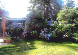 550 S Beach Rd , Point Roberts, WA 98281 (#723171) :: Home4investment Real Estate Team 550 S Beach Rd , Point Roberts, WA 98281 (#723171) :: Home4investment Real Estate Team