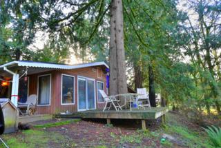 41567 N Shore Lane , Concrete, WA 98237 (#730058) :: Home4investment Real Estate Team 41567 N Shore Lane , Concrete, WA 98237 (#730058) :: Home4investment Real Estate Team