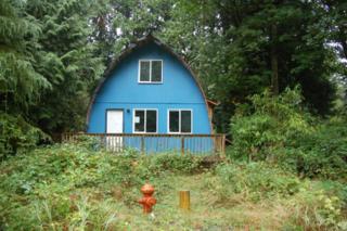 1550 Mckenzie Wy , Point Roberts, WA 98281 (#710629) :: Home4investment Real Estate Team 1550 Mckenzie Wy , Point Roberts, WA 98281 (#710629) :: Home4investment Real Estate Team