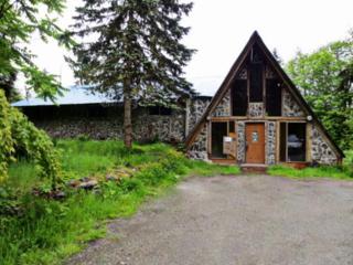 48702 State Route 20 , Concrete, WA 98237 (#716461) :: Home4investment Real Estate Team 48702 State Route 20 , Concrete, WA 98237 (#716461) :: Home4investment Real Estate Team