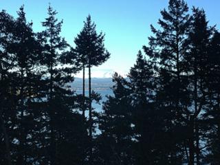 1250 Island St , Lummi Island, WA 98262 (#735610) :: Home4investment Real Estate Team 1250 Island St , Lummi Island, WA 98262 (#735610) :: Home4investment Real Estate Team