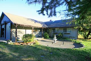 5513 Salish Rd , Birch Bay, WA 98230 (#695034) :: Home4investment Real Estate Team 5513 Salish Rd , Birch Bay, WA 98230 (#695034) :: Home4investment Real Estate Team