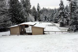 26695 Trophy Lane NE , Kingston, WA 98346 (#724158) :: Better Homes and Gardens McKenzie Group 26695 Trophy Lane NE , Kingston, WA 98346 (#724158) :: Better Homes and Gardens McKenzie Group