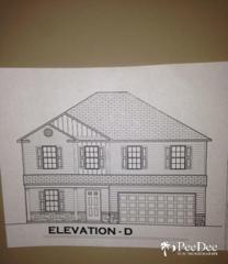 1229 Purple Martin Drive Lot#17 , Effingham, SC 29541 (MLS #122878) :: RE/MAX Professionals 1229 Purple Martin Drive Lot#17 , Effingham, SC 29541 (MLS #122878) :: RE/MAX Professionals