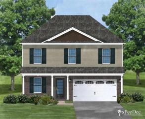 1221 Purple Martin Lot # 19 , Effingham, SC 29541 (MLS #122880) :: RE/MAX Professionals 1221 Purple Martin Lot # 19 , Effingham, SC 29541 (MLS #122880) :: RE/MAX Professionals