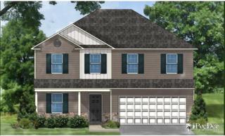 1229 Purple Martin Drive Lot#17 , Effingham, SC 29541 (MLS #122878) :: RE/MAX Professionals 1229 Purple Martin Drive Lot#17 , Effingham, SC 29541 (MLS #122878) :: RE/MAX Professionals