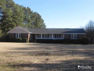 628 E Cricklewood Drive , Florence, SC 29505 (MLS #123271) :: RE/MAX Professionals 628 E Cricklewood Drive , Florence, SC 29505 (MLS #123271) :: RE/MAX Professionals