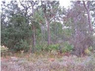 Pace, FL 32571 :: Exit Realty NFI Pace, FL 32571 :: Exit Realty NFI