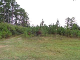 6624 East Bay Blvd , Navarre, FL 32566 (MLS #470277) :: Exit Realty NFI 6624 East Bay Blvd , Navarre, FL 32566 (MLS #470277) :: Exit Realty NFI