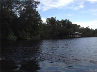 0 E Old Bagdad Hwy , Milton, FL 32583 (MLS #435583) :: Exit Realty NFI 0 E Old Bagdad Hwy , Milton, FL 32583 (MLS #435583) :: Exit Realty NFI