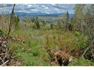 62 Stella Royal Ln , Washougal, WA 98671 (MLS #15240582) :: The Rian Group Real Estate 62 Stella Royal Ln , Washougal, WA 98671 (MLS #15240582) :: The Rian Group Real Estate