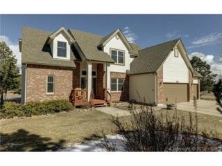 290 Furrow Way , Monument, CO 80132 (#8971391) :: Action Team Realty 290 Furrow Way , Monument, CO 80132 (#8971391) :: Action Team Realty