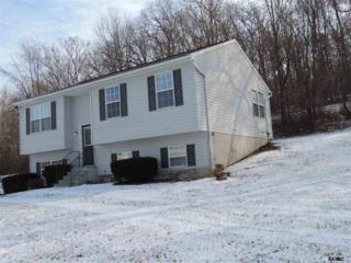 295 Elfner Rd , Red Lion, PA 17356 (MLS #21501133) :: The Jim Powers Team 295 Elfner Rd , Red Lion, PA 17356 (MLS #21501133) :: The Jim Powers Team