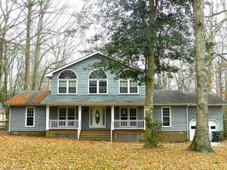 9017 Marmont Ln , James City County, VA 23188 (#1503183) :: The Kris Weaver Real Estate Team 9017 Marmont Ln , James City County, VA 23188 (#1503183) :: The Kris Weaver Real Estate Team
