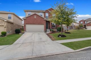12238 Painted Daisy , San Antonio, TX 78253 (MLS #1100842) :: Neal & Neal Team 12238 Painted Daisy , San Antonio, TX 78253 (MLS #1100842) :: Neal & Neal Team