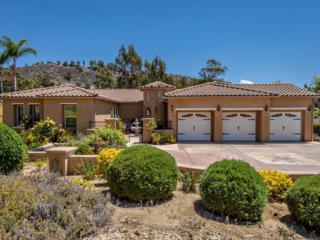 26255 Wyndemere Ct , Escondido, CA 92026 (#140045808) :: The Marelly Group | Realty One Group 26255 Wyndemere Ct , Escondido, CA 92026 (#140045808) :: The Marelly Group | Realty One Group