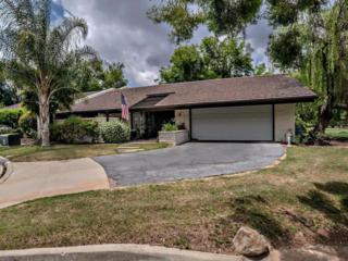 32366 Cahuka Ct , Pauma Valley, CA 92061 (#140048056) :: The Marelly Group | Realty One Group 32366 Cahuka Ct , Pauma Valley, CA 92061 (#140048056) :: The Marelly Group | Realty One Group